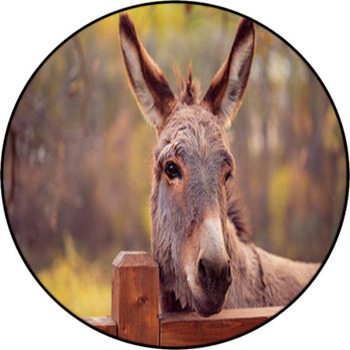 Funny Donkey Domesticated Member Of The Horse  Round Rug