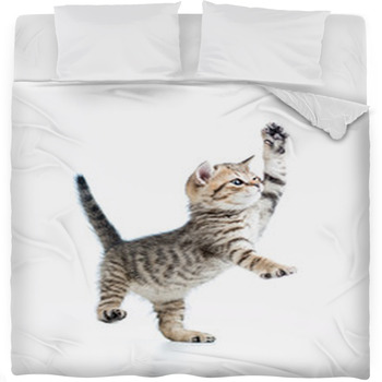 Funny Playful Baby Scottish British Fleece Bed Blanket