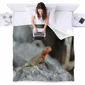 Galapagos Lava Lizard (Microlophus Fleece Bed Blanket