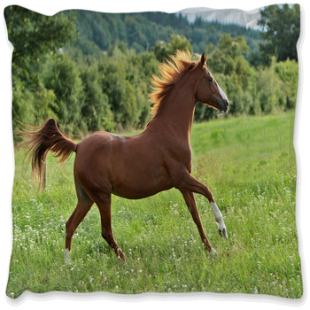 Horse Comforters, Duvets, Sheets & Sets | Personalized