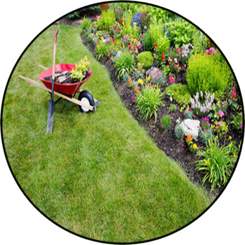 Garden Work Being Done Transplanting Celosia Round Rug