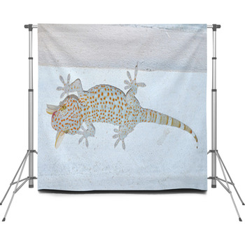 Gecko  Gekkonidae Custom Size Backdrop