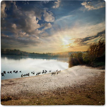 Geese In Lake Baby Blanket