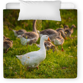 Geese Toddler Comforter