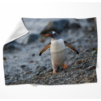 Gentoo Penguin In South Georgia, Woven Throw Blanket