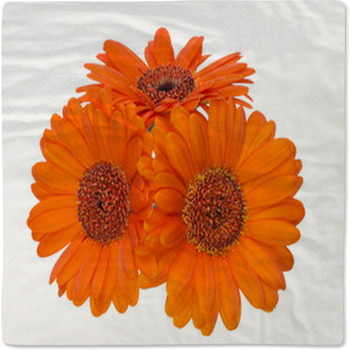 Gerbera Baby Blanket