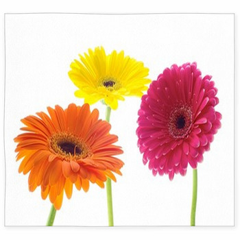 Gerbera Custom Size Floor Mat