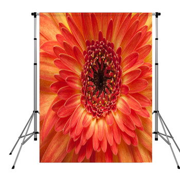 Gerbera Pole Pocket Backdrop
