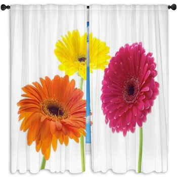 Gerbera Standard Size Window Curtains