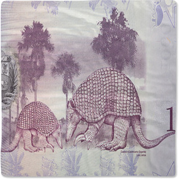 Giant Armadillo A Portrait From Venezuelan Baby Blanket