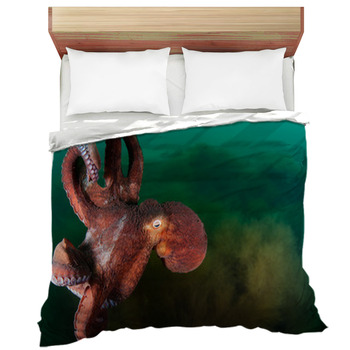 Octopus Comforters Duvets Sheets, Octopus Bedding Set