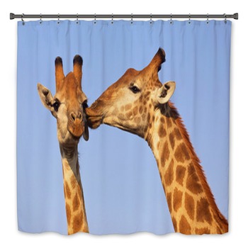 Giraffe Bath Decor