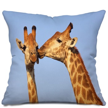 Giraffe Pillows