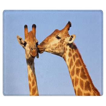 Giraffe Rugs