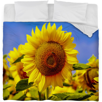Girasoles Por La Mañana Fleece Bed Blanket
