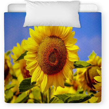 Girasoles Por La Mañana Toddler Duvet