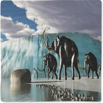 Glacier Mammoths Baby Blanket
