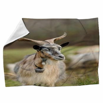 Goat In Meadow Fleece Blanket
