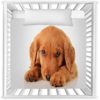Golden Irish Puppy Baby Crib Comforter