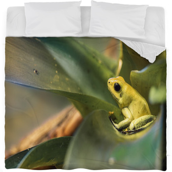 Golden Poison Dart Frog Fleece Bed Blanket