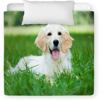 Golden Retriever Toddler Comforter