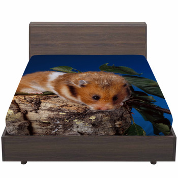 hamster bed
