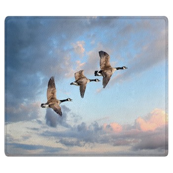 Goose Rugs