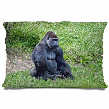 https://www.visionbedding.com/images/theme/gorilla-pillow-case-67133744.jpg