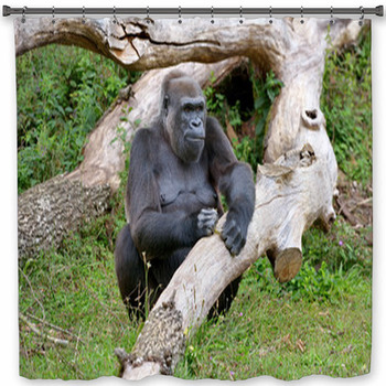 Gorilla Shower Curtains, Bath Mats, & Towels Personalize