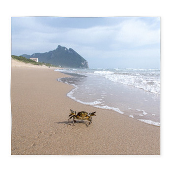 Granchio Che Cammina Verso Il Mare  Custom Size Floor Mat
