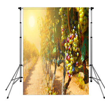 Grapes At Sunset Pole Pocket Backdrop