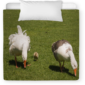 Grazing Domestic Geese With Gosling Toddler Comforter