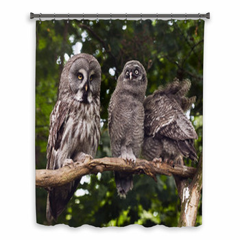 Great Grey Owl Custom Size Shower Curtain