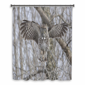Great Grey Owl In Winter Custom Size Shower Curtain
