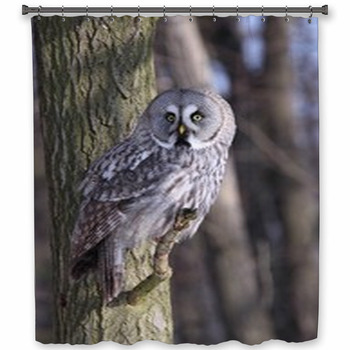Great Grey Owl, Lapland Owl Shower Curtain
