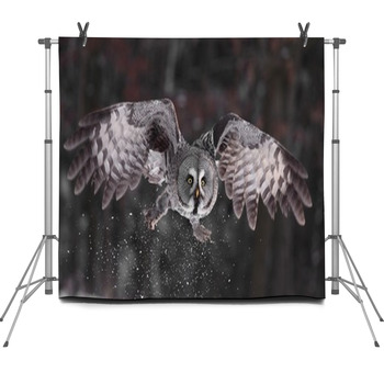 Great Grey Owl Lat. Strix Nebulosa Fleece Backdrop
