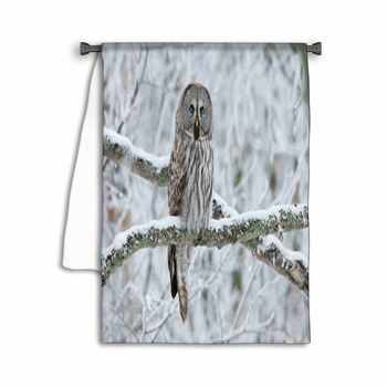 Great Grey Owl (Strix Nebulosa) Perched In A Tree Towel