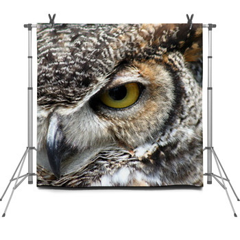 Great Horned Owl Eye Closeup Fleece Backdrop