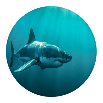 Great White Shark Underwater Round Rug