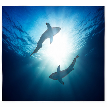 Great White Sharks By Watersurface  Custom Size Floor Mat