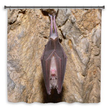 Greater Horseshoe Bat( Custom Size Shower Curtain