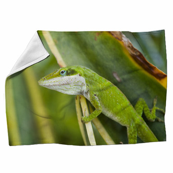 Green Anole Lizard (Anolis Carolinensis),  Fleece Blanket