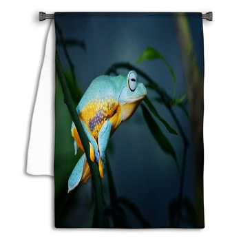 Green Flying Frog Frog Rhacophorus Reinwardtii Towel