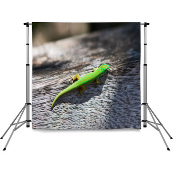 Green Gecko Pole Pocket Backdrop