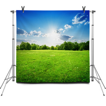 Green Grass And Trees Fleece Backdrop
