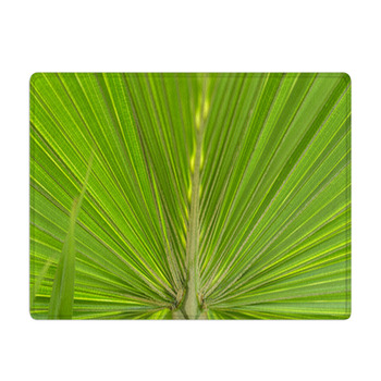 Green Palm Leaf Bath Mat