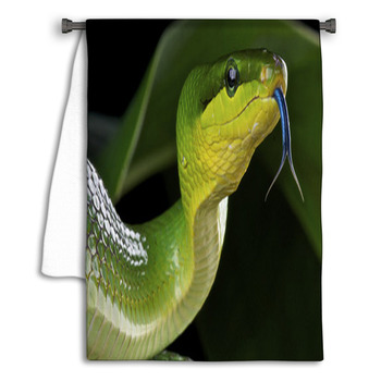 Green Ratsnake / Gonyosoma Oxycephalum Towel