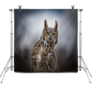 Grey Horned Owl Fleece Backdrop