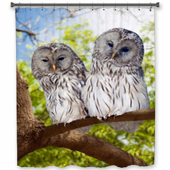 Grey Owls Couple On Tree Shower Curtain