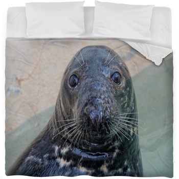 Grey Seal Portrait Fleece Bed Blanket
